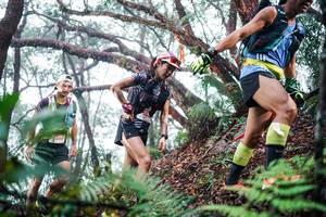 BIB: 
                            <button type="button" onclick="openModal(26295373)" class="btn btn-primary btn-sm float-right btn-popup" data-toggle="modal" data-target=".modal-high-quality">
                        <i class="fas fa-shopping-cart"></i> Add to Cart
                    </button>
                                            <button type="button" onclick="isThisMe(26295373, true)" class="btn btn-success btn-sm float-right btn-popup btn-isme hidden" data-toggle="tooltip" data-placement="bottom" title="นี่คือรูปของคุณใช่ไหม คลิกที่นี่เพื่อเอาเข้าอัลบั้ม">
                        <i class="fas fa-plus"></i> Add to album
                    </button>
                    <button type="button" onclick="isThisMe(26295373, false)" class="btn btn-warning btn-sm float-right btn-popup btn-isnotme hidden">
                        <i class="fas fa-ban"></i> Remove from album
                    </button>